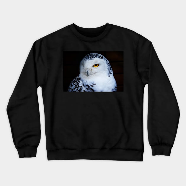 Snowy owl Crewneck Sweatshirt by kawaii_shop